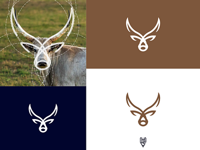 Cow Logo Design app branding cow design flat golden ratio grid logo icon illustration line art logo ui ux vector