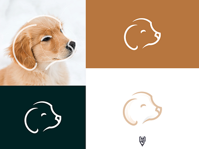 Dog Logo design animal app best branding design dog flat golden ratio grid logo icon illustration line art logo pet simple ui ux vector