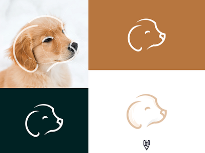 Dog Logo design