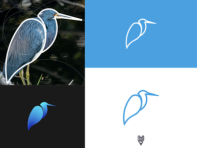 Bird Logo Design app bird branding design flat golden ratio grid logo icon illustration line art logo logo creator ui ux vector