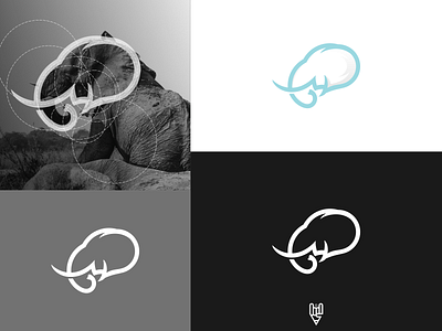 Elephant Logo Design app branding design elephant flat golden ratio grid logo icon illustration line art logo ui ux vector