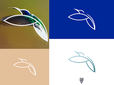 Bird Logo Design