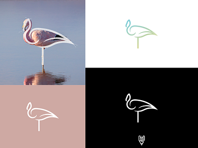 Stork Logo Design app branding design flat golden ratio grid logo icon illustration line art logo logo design stork ui ux vector