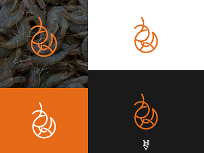 Shrimp Logo Design app branding design flat golden ratio grid logo icon illustration line art logo shrimp ui ux