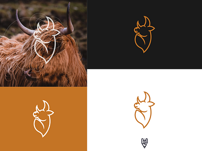 Bull Logo Design app branding bull design flat golden ratio grid logo icon illustration line art logo logo creator ui ux vector