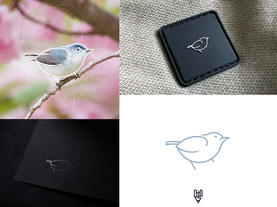 Bird Logo Design