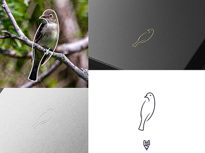 Bird Logo Design