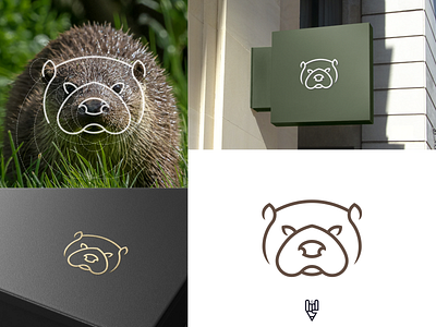 Beaver Logo Design app branding design flat golden ratio graphic design grid logo icon illustration linr art logo vector