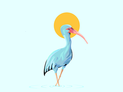Ibis Bird apparel graphics bird bird illustration blue branding egret graphic design ibis illustration minimal monochromatic wall art wallpaper