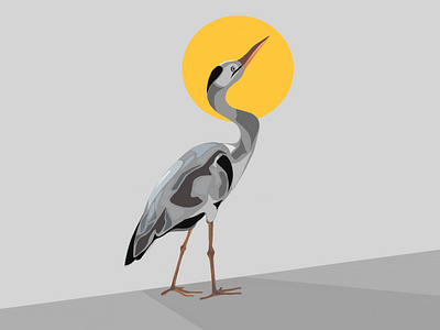 Heron Bird apparel graphics bird crane egret graphic design grayscale illustration minimal monochromatic sun tshirt design wall art wallpaper