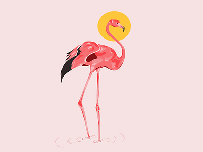 Flamingo Bird