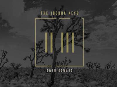 The Joshua Keys Album Cover Art album cover music project the joshua tree