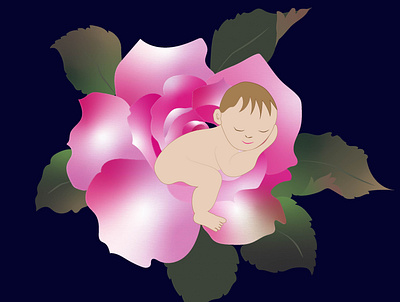 Newborn baby illustration baby creativity girl illustration newborn rose