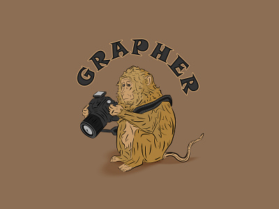 Grapher animation branding design graphic design icon illustration illustrator logo vector