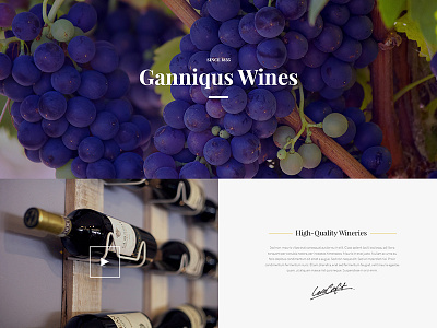 WIP Winery Theme creative envato restaurant template theme themeforest typography ui ux web elements website winery