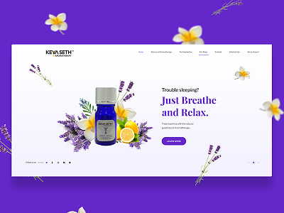 Aromatherapy Website Banner aromatherapy banner interface spa ui ux website
