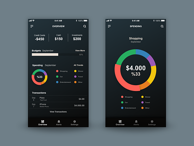 Personal Finance App - Adobe Daily Challange 01 adobexd chart dark finance app