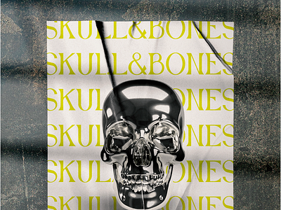 Skull & Bones 3d 3d modeling 3dart adobedimension adobephotoshop design mockup poster posterdesign