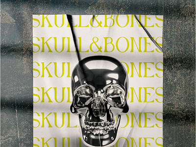 Skull & Bones