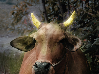 Glowing Effect on Cow