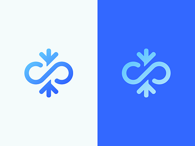 Infinity + Snowflake Logo Design