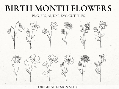 Detailed Birth Flowers Set 1 by Rebecca Wasserberg on Dribbble