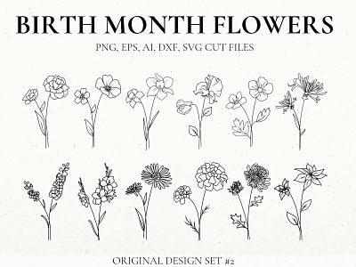 Detailed Birth Flowers Set 2 by Rebecca Wasserberg on Dribbble