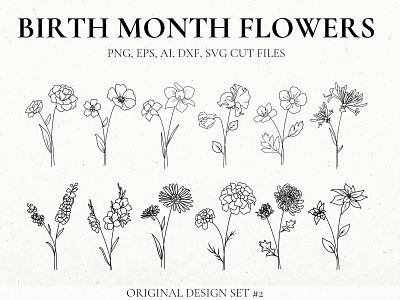 Detailed Birth Flowers Set 2 birth flower tattoo birth month flower flower svg
