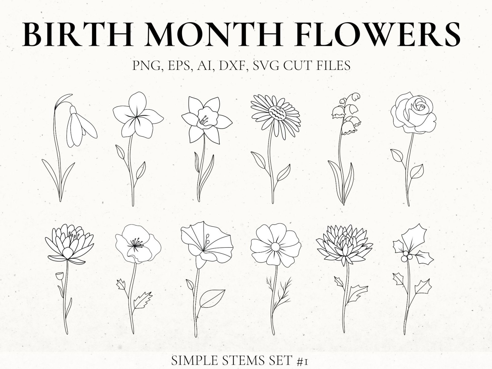 October Birth Month Flower Cosmos Floral Svg Bouquet
