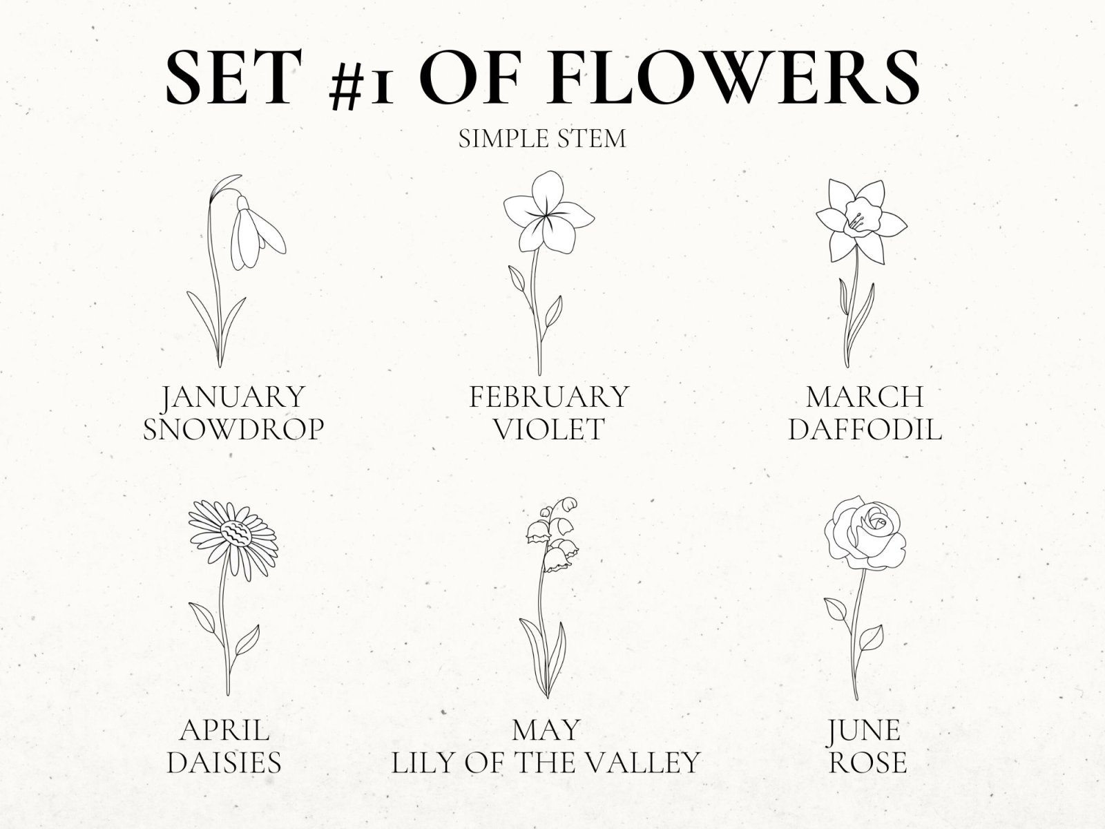 Birth Flower Flash January  Snowdrop February  Violet March  Daffodil  April  Sweetpea May  Lilly of   Birth flower tattoos Small tattoos  Gladiolus tattoo