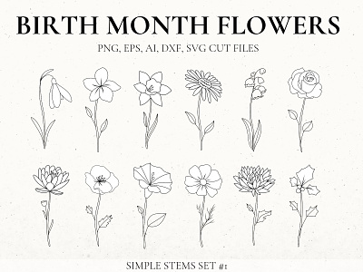 Simple Stem Birth Flower Clip Art Set birth flower tattoo birth month flower flower svg