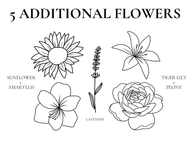 Simple Stem Birth Flower Clip Art Set by Rebecca Wasserberg on