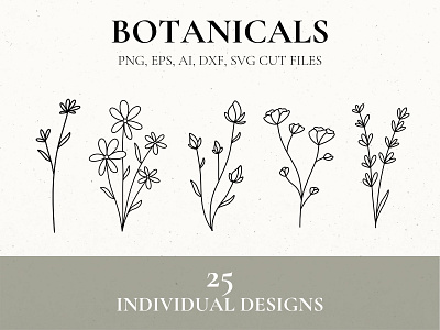 Wild Flower Botanicals