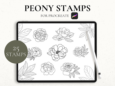 Peony Stamps For Procreate peonies peony stamps procreate stamps