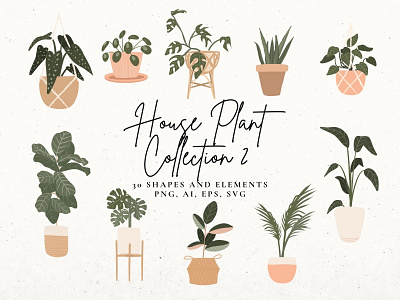 House Plant Collection #2