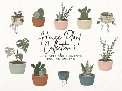House Plant Collection #1 house plants monstera plant clip art