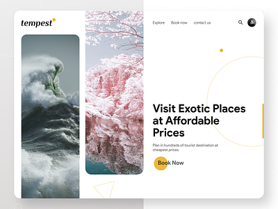 tempest travel website minimal ui ux