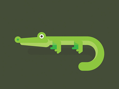 Alligator