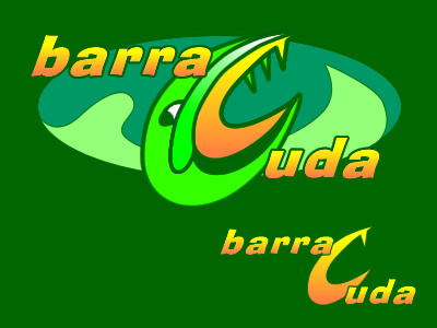 Barracuda barracuda branding clothing gear logo wetsuits