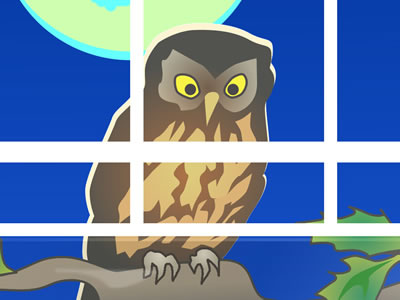 Morepork Owl