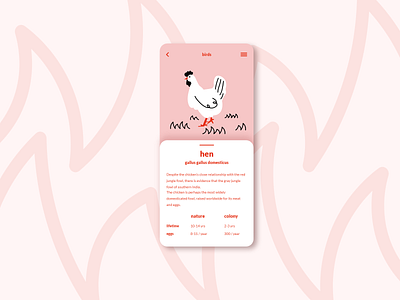 Info Card app design hen illustration info infocard ui ui challange