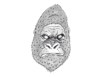 Gorilla Head T-Shirt Sketch - Traditional Illustration