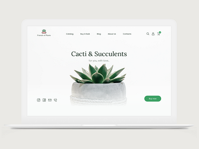 First screen for succulent shop cacti ecommerce landingpage online shop online store shop store succulent uiux webdesign