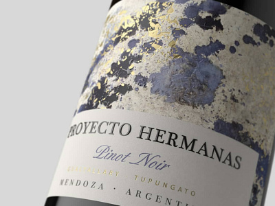 Proyecto Hermanas award winning bottle label bottle mockup branding branding concept concept art illustration packagedesign packaging wine label winery