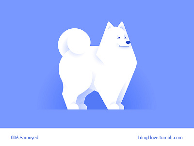Samoyed animal cute design dog flat illustration illustrator puppy samoyed