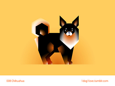 Chihuahua animal chihuahua cute design dog flat illustration illustrator puppy