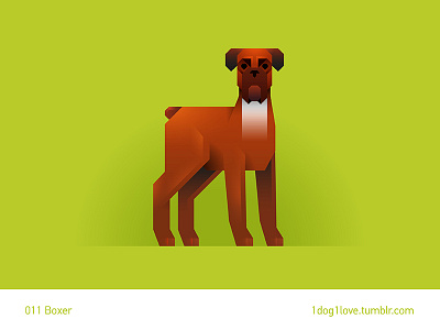 Boxer animal boxer design dog flat illustration illustrator puppy strong