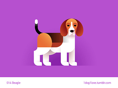 Beagle animal beagle character cute design dog flat illustration illustrator puppy