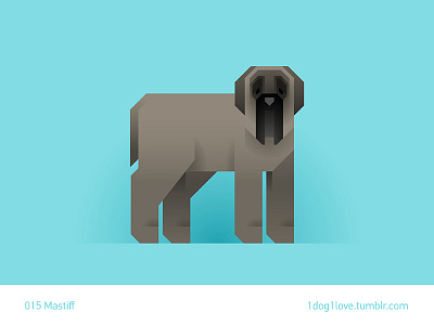 Mastiff animal cute design dog flat illustration illustrator mastiff