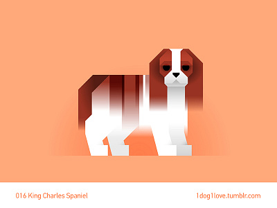 King Charles Spaniel animal cute design dog flat illustration illustrator king charles spaniel puppy spaniel